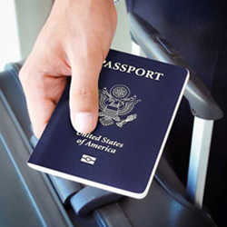 Find Your University